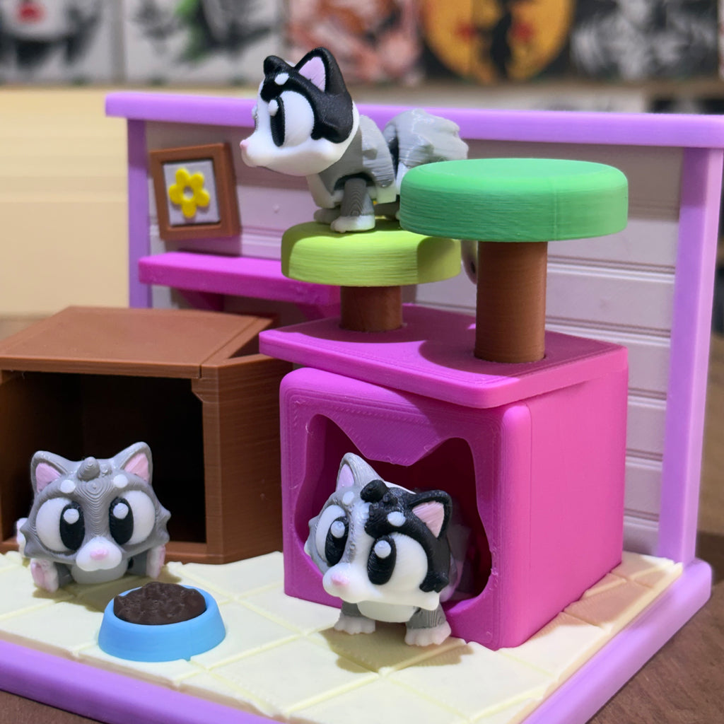 CASA DE GATOS