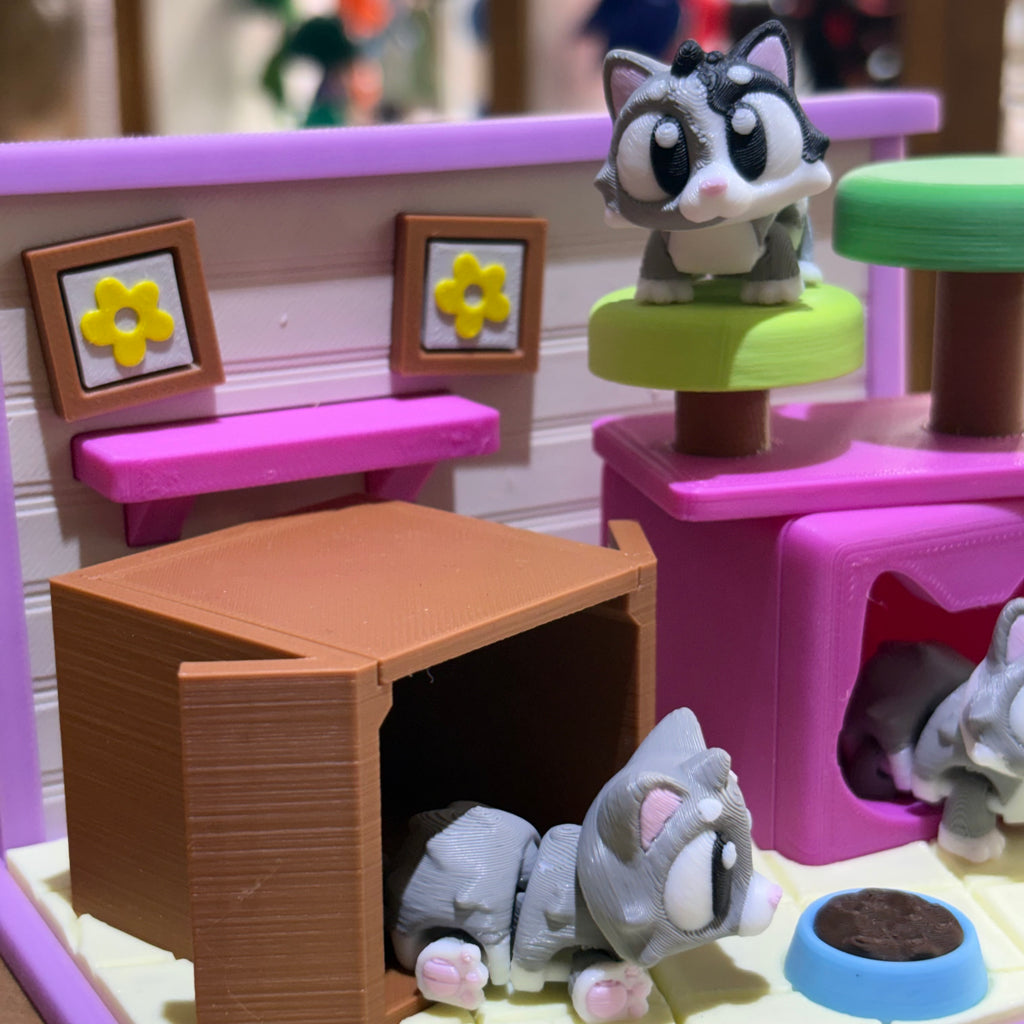 CASA DE GATOS
