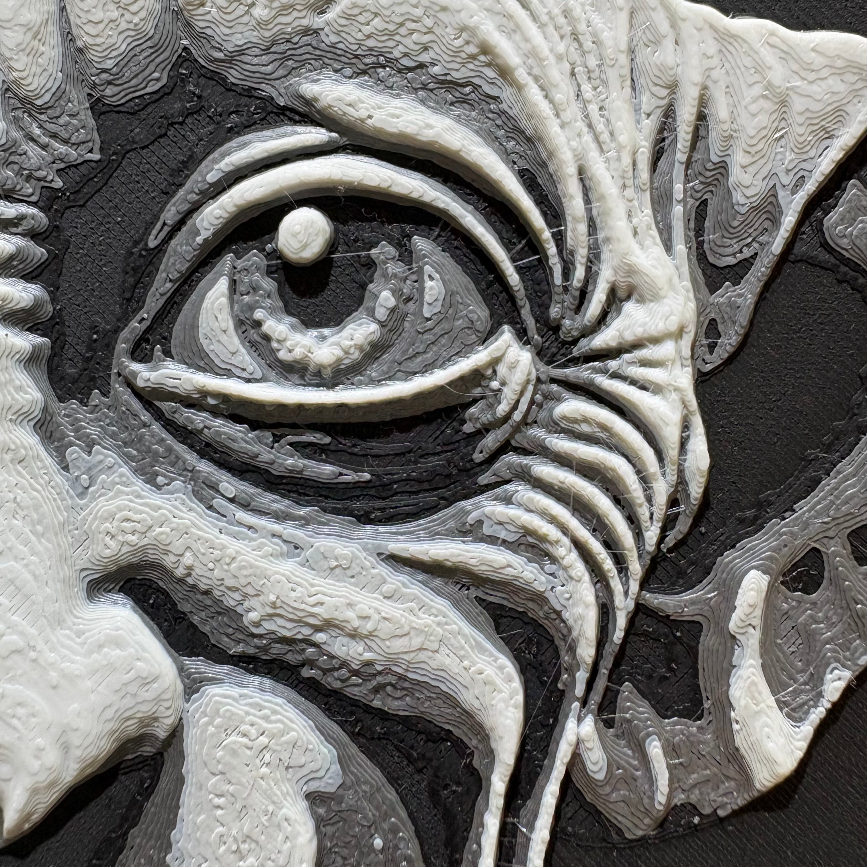 CUADROS DECORATIVOS 3D