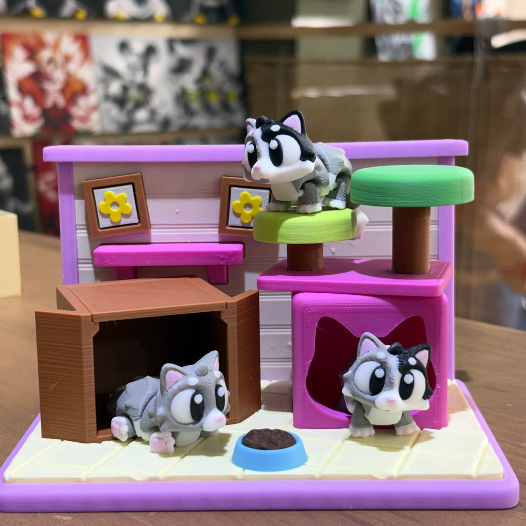 CASA DE GATOS