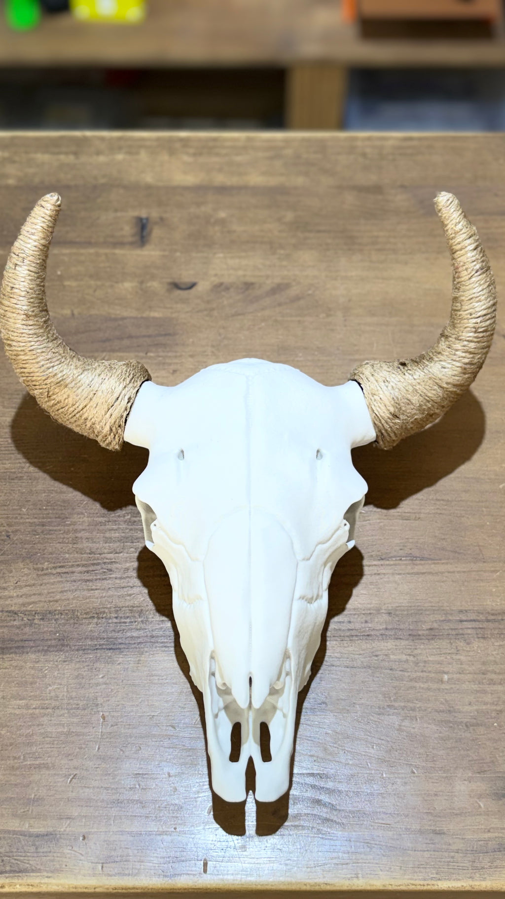 DECORATED COW SKULL