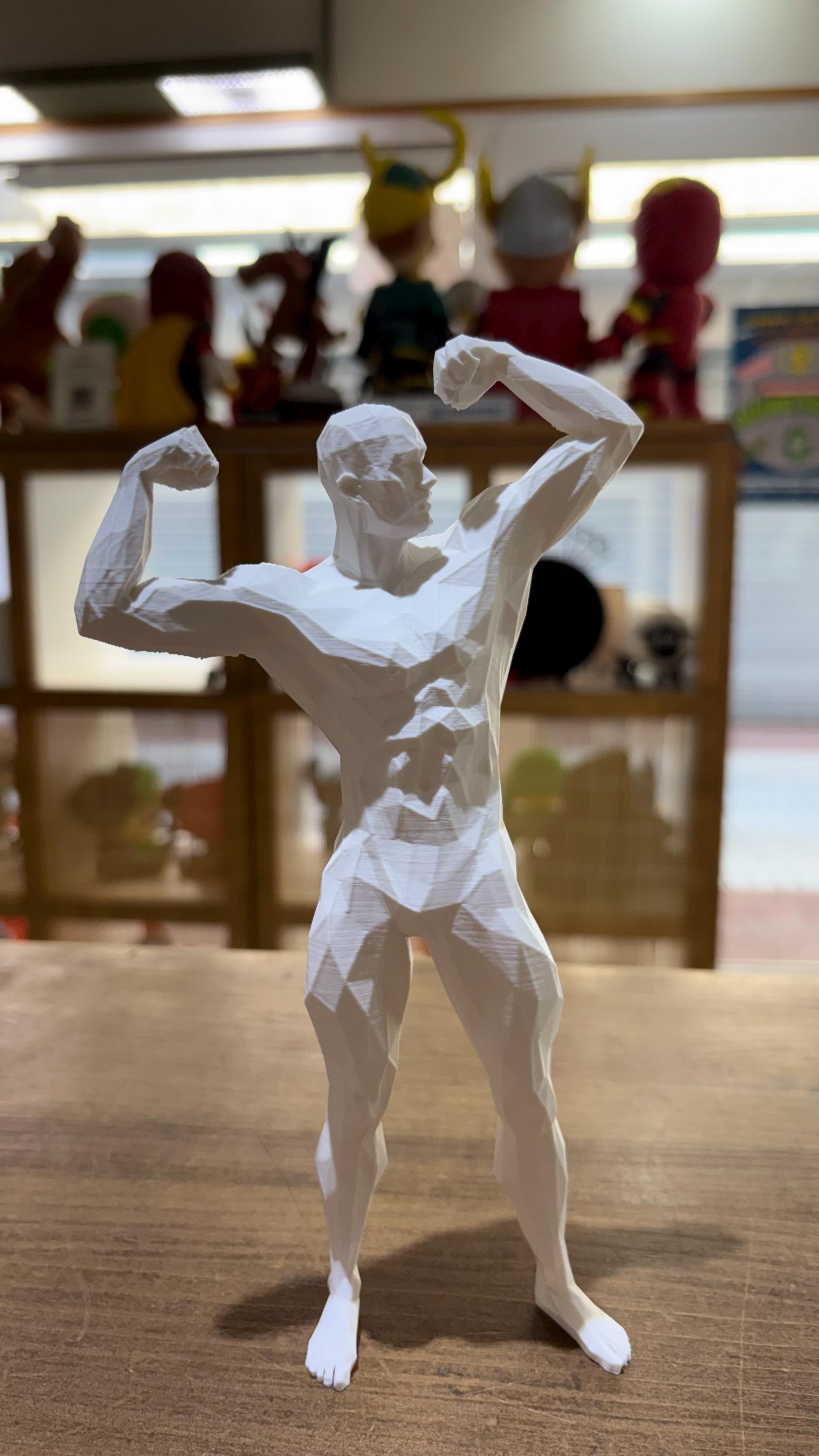 FIGURAS MASCULINAS DE FUERZA ESTILO POLIGONAL